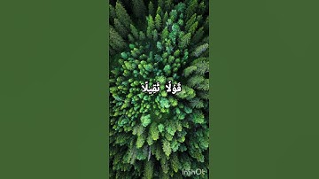 تلاوه نادره من سورة المزمل #quran #المصحف #اكسبلور #القرآن_الكريم #سورةالمزمل #راحة_نفسي #subscribe