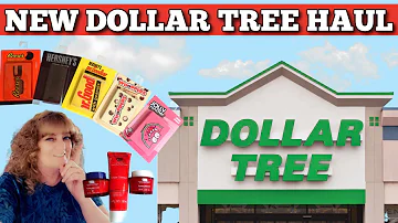 Check Out The Latest Dollar Tree Finds In My Haul!