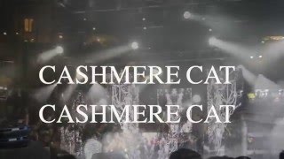 TPB Olé Music Fest 2016 Recap- USD Torero Life