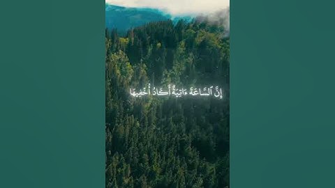 أكتب شئ تؤجر عليه | #سورة_طه  #محمد_اللحيدان