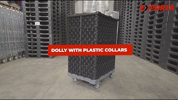 Exporta Collar Dolly