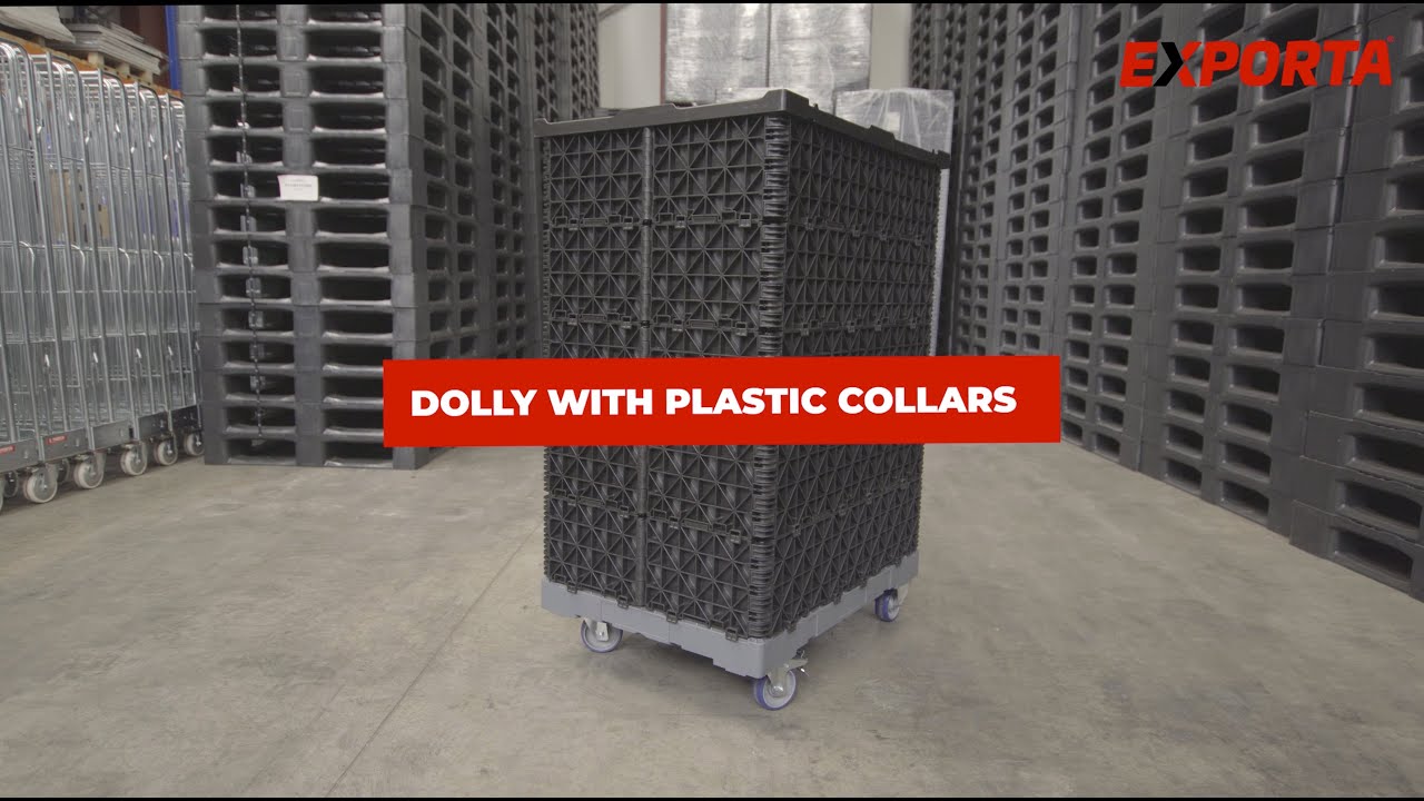 Exporta Collar Dolly