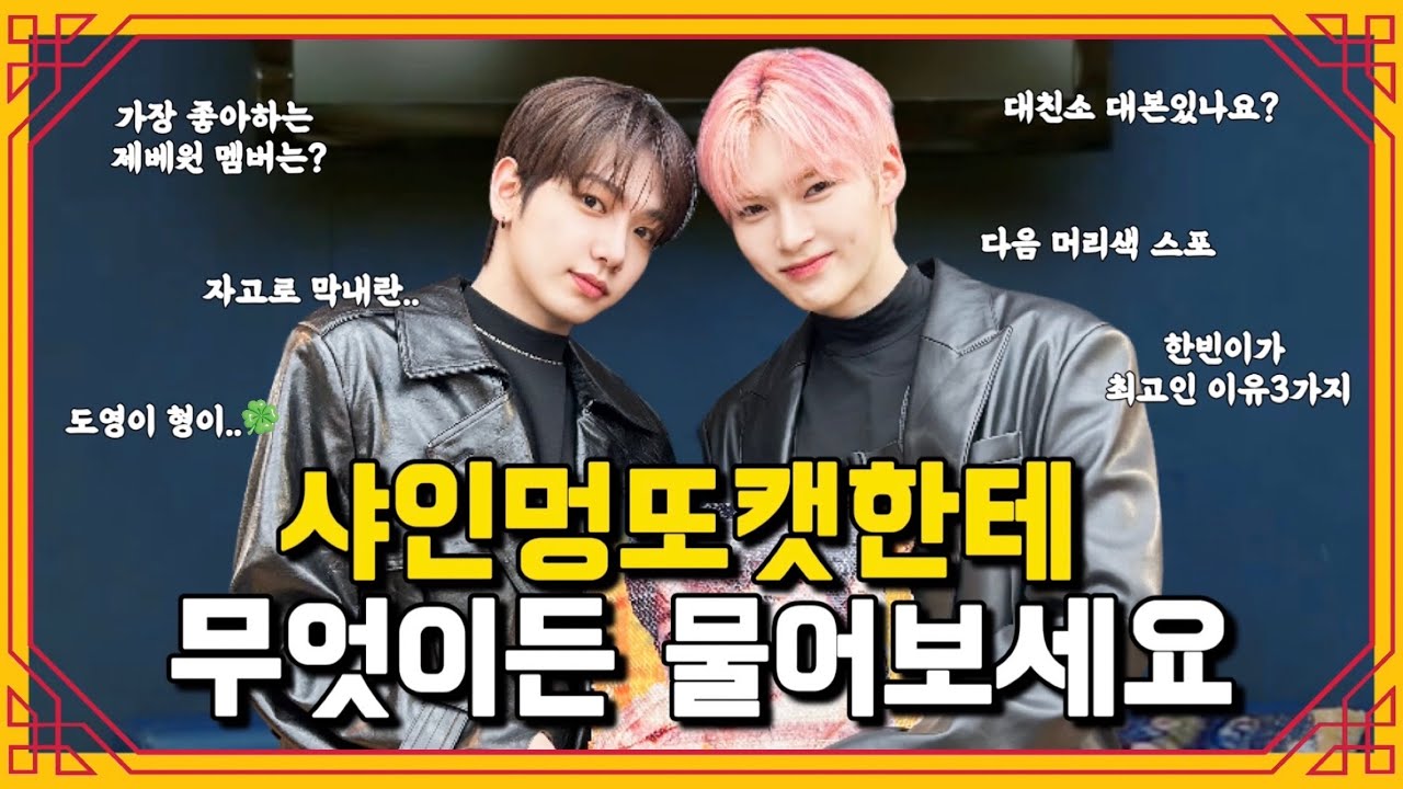 샤인멍또캣한테 무엇이든 물어보세요 [대친소 라이브 요약 EP.866]