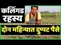 थांबा..!! हा व्हिडिओ बघितल्याशिवाय कलिंगड करू नका | Commercial Watermelon Farming Profit