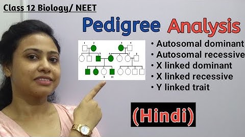 Pedigree Analysis (Hindi) | Autosomal dominant/ recessive | X linked dominant/ recessive |12 Biology