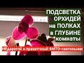 ПОДСВЕТКА для ОРХИДЕЙ, НЕдорогой и практичный ФИТО-светильник для полок с ОРХИДЕЯМИ