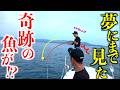 【衝撃のラスト！？】長年憧れ続けたあの魚が現れ船中大パニック！！