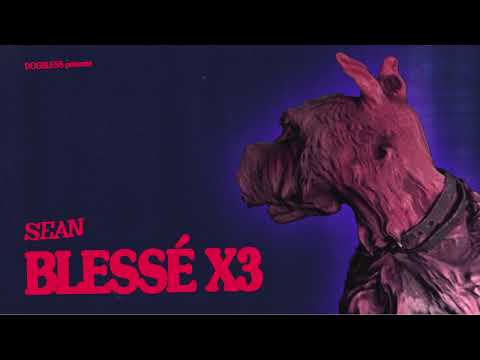 sean - BLESSÉ X3