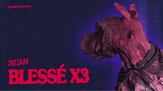 Sean - Blessé X3