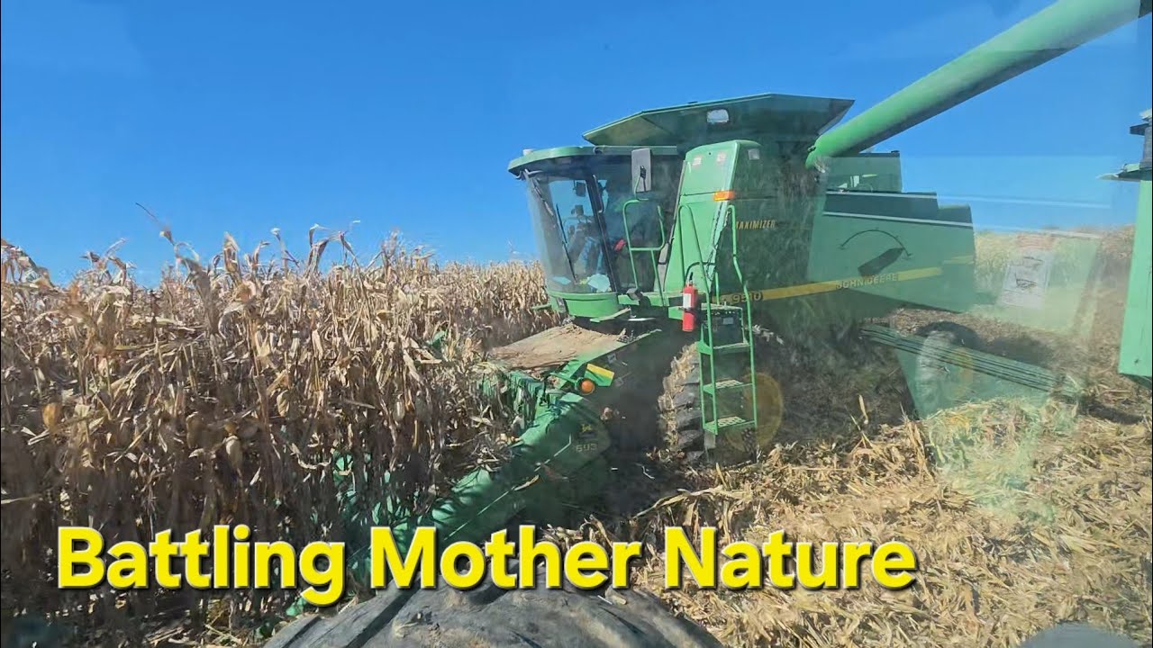 Battling Mother Nature | Delayed Start to Beans Harvest