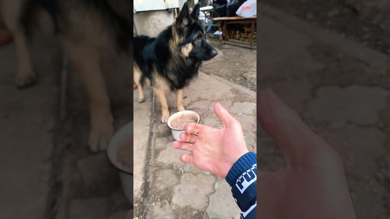 для помощи+79045334267 втб или т банк Руслан ш