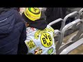 PSG vs Dortmund  0-1- All goals & highlights- champions leage 2024