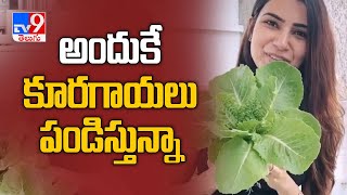 Samantha Akkineni reveals the reason behind her journey of growing food at home - TV9