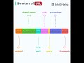 Understanding URL Components: Protocol, Domain, Path &amp; More #software #webdevelopment #chamnetquan