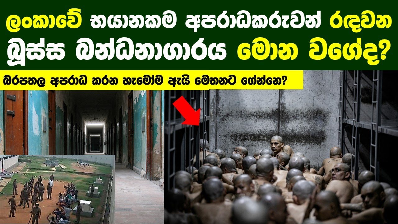 ලංකාවේ භයානකම අපරාධකරුවන් රඳවන බූස්ස බන්ධනාගාරය ඇතුළ මොන වගේද?බරපතල අපරාධ කරන හැමෝම ඇයි මෙතනට ගේන්නෙ
