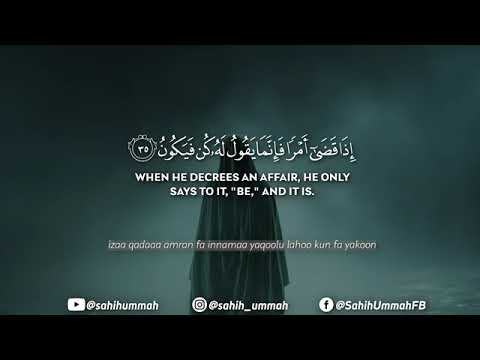 Surah Maryam  سورة مريم    حمزة بوديب   Hamza Boudib   Melodious Quran Recitation  4K 360p