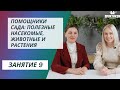 Помощники сада: полезные насекомые, животные и растения