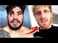 DIllon Danis &amp; Logan Paul GO BACK AND FORTH After Their Boxing Match | MMA NEWS