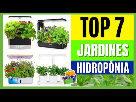 Video: Mini jardín hidropónico: cultiva un jardín hidropónico de encimera