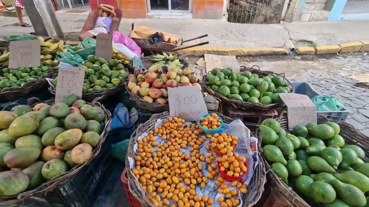 FEIRA LIVRE DE ESCADA-PE 🇧🇷