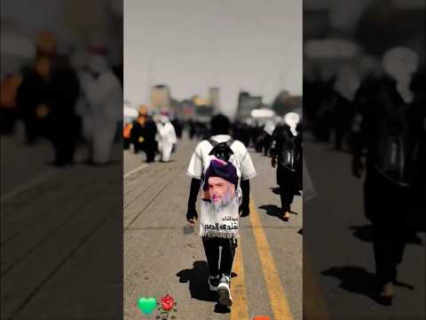 شاهد زلم ابو هاشم مشايه لخدمه ابا عبد الله الحسين