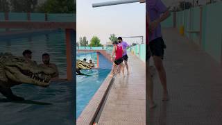 Swimming pool mai magarmuch hai Part 3 #comedy #funny #summerofgoals