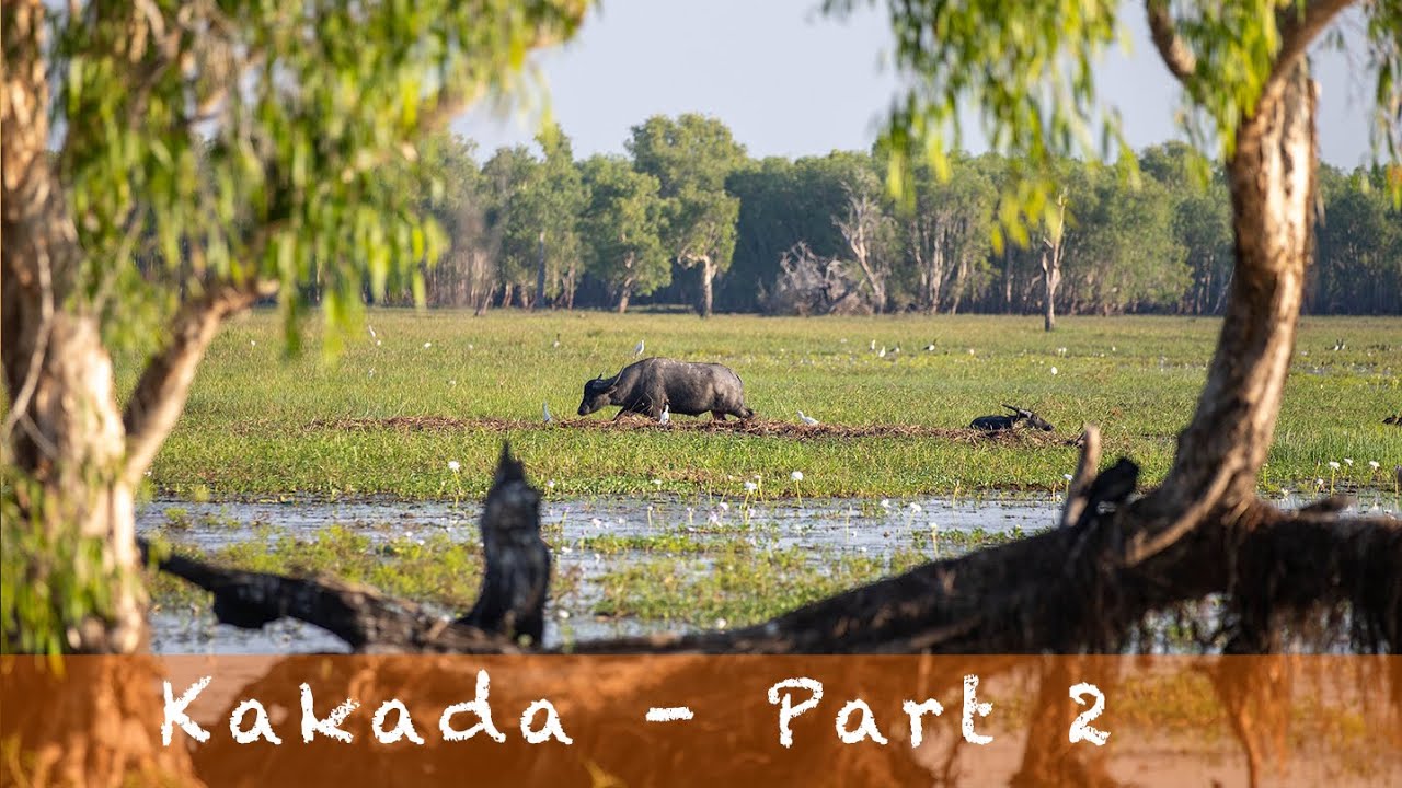 Kakadu Part 2 of 2. Water holes and Campgrounds Where to stay at Kakadu