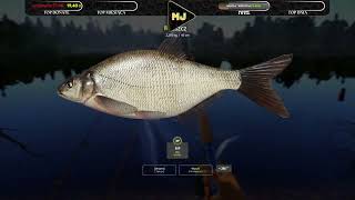 Bream Pike Russian Fishing 4 - LIVE #108