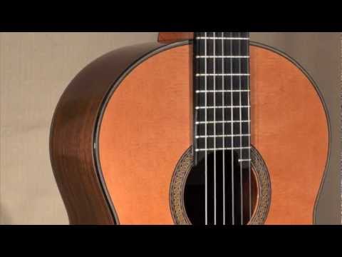 Fill To Bridge Video