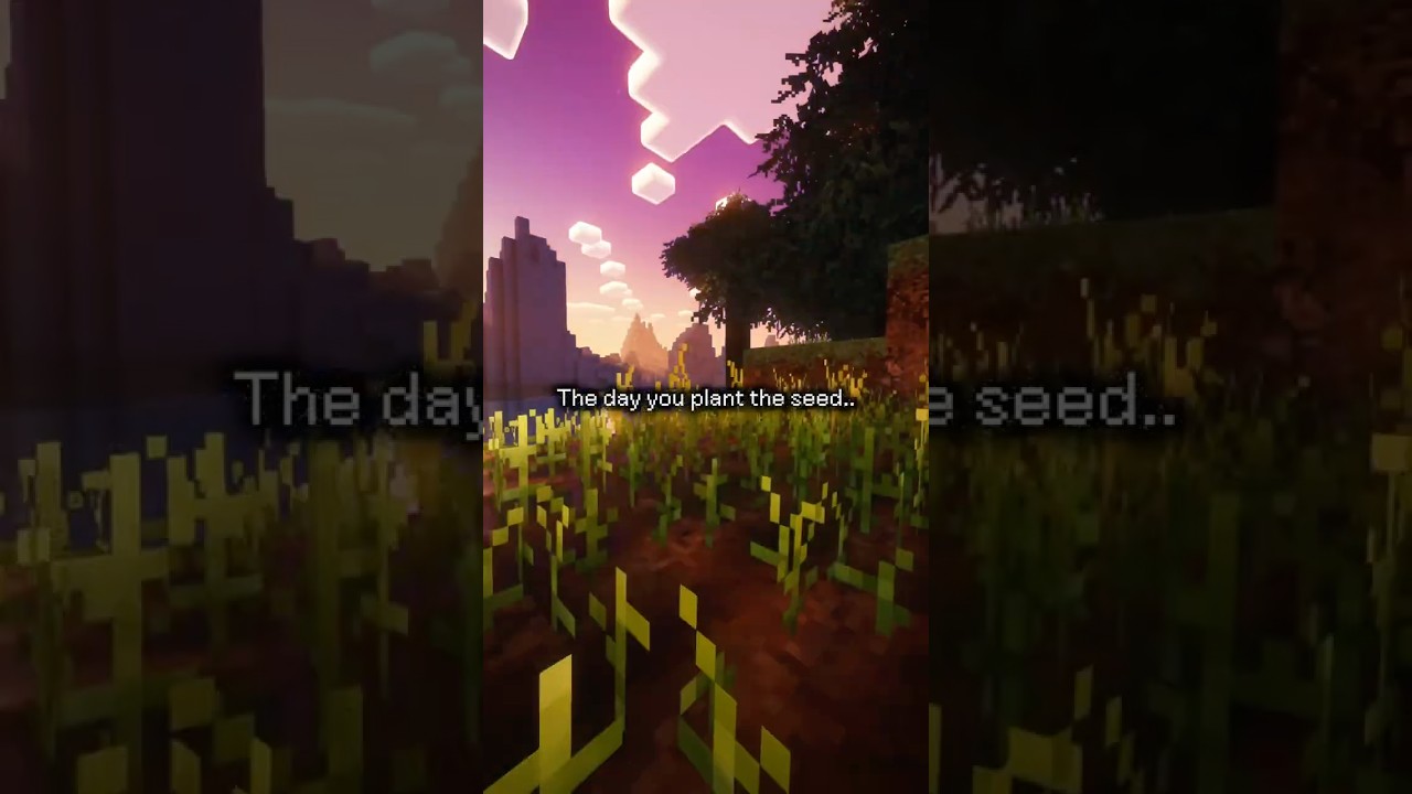 The day you plant the seed..