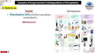 Xylaria sp, Fungi Involved in Biodegradation of Microplastics, #mycology #biodegradation
