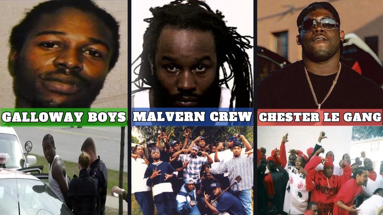 Toronto’s Deadliest Gangs: Malvern Crew, Galloway Boys, Chester Le Crew
