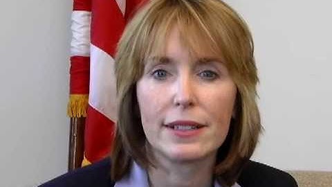 FTC EXPLANATION OF BLOGGER DISCLOSURE GUIDELINES