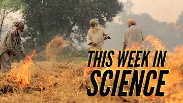 Delhi is drying up, Kerala's sex ed lie & the second patient cured of HIV — This week in Science