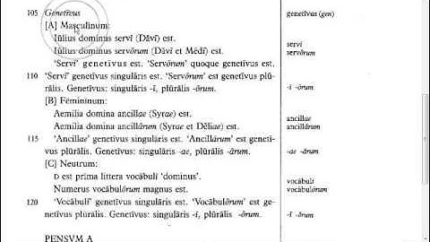 Lingua - 2.G - Reading Tutorial