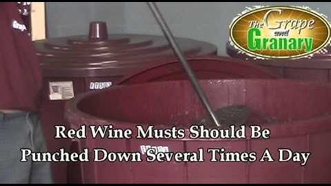 Using a punchdown tool to punchdown red grape must
