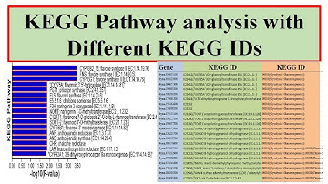 KEGG Pathway Analysis with different IDs