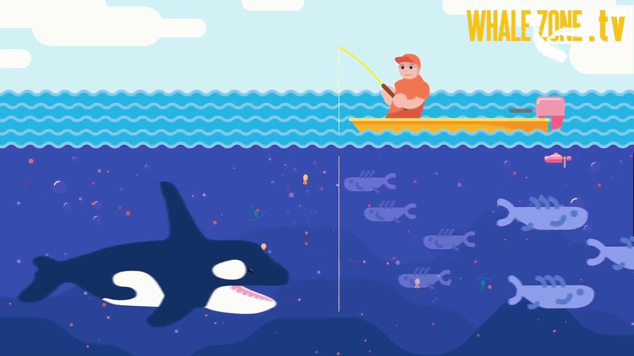 isana_whale 2点おまとめ Snap-n-Learn™ Stacking Whales