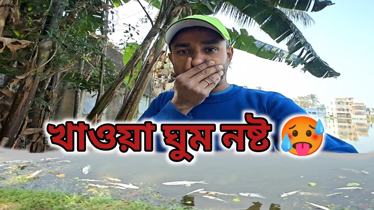 মাছ পচার মতো দুর্গন্ধ আর কিছু হয় না 🤧 | daily vlog 