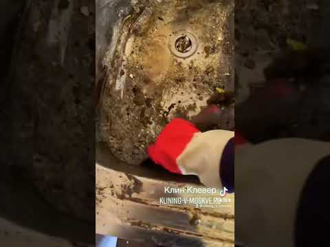 Спец-уборка запущенной квартиры. #треш#уборкаквартиры#уборка#клининг#грязнаяквартира#допосле