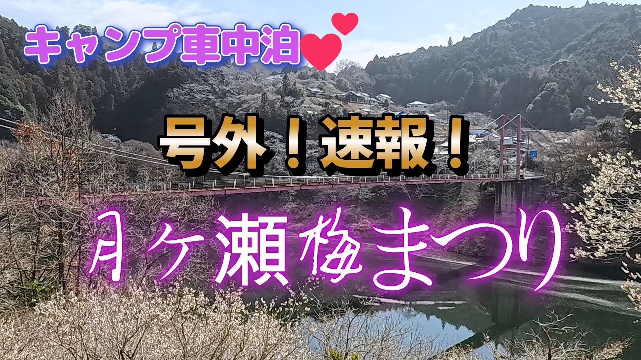 令和8年速報 月ヶ瀬梅林開花情報 梅まつり キャンプ車中泊💕