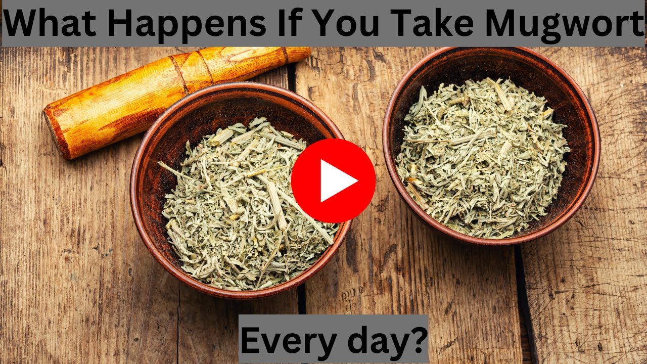 What Happens If You Take Mugwort every day?