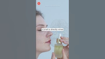 Why Do Certain Smells Instantly Trigger Memories? 👃🏻🍪 #funfacts #nostalgia #smells #memory #shorts