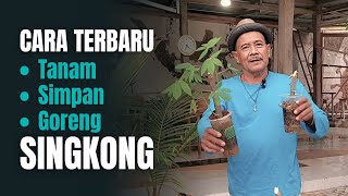 CARA TERBARU Mengolah Singkong