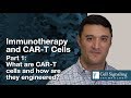 Immunotherapy & CAR T Cells: Part 1