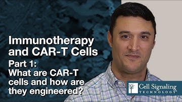 Immunotherapy & CAR T Cells: Part 1