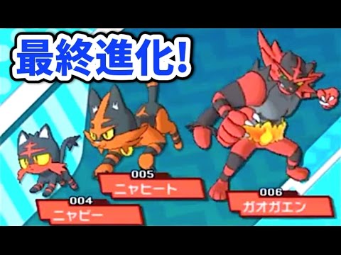 ポケモンサン ニャビーがついに最終進化 ガオガエン に ３５ Pokemon Sun Moon Youtube