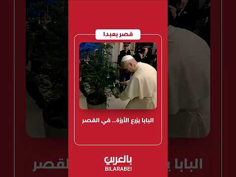 البابا يزرع الأرزة في القصر       بالعربي 