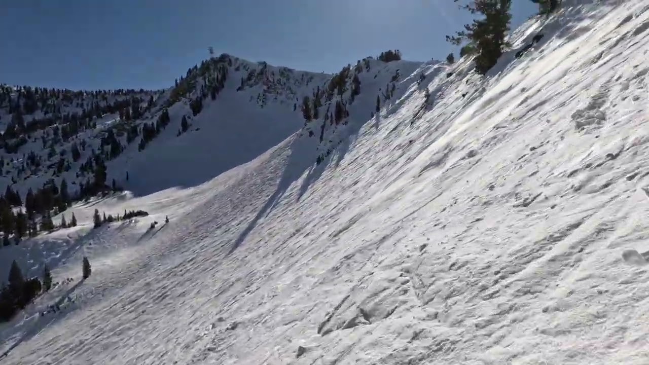 Snowbird Ski Resort: A bluebird day on The Cirque Traverse and the Middle Cirque.