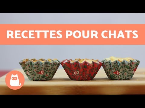 2-recettes-de-réveillons-délicieuses-pour-chats